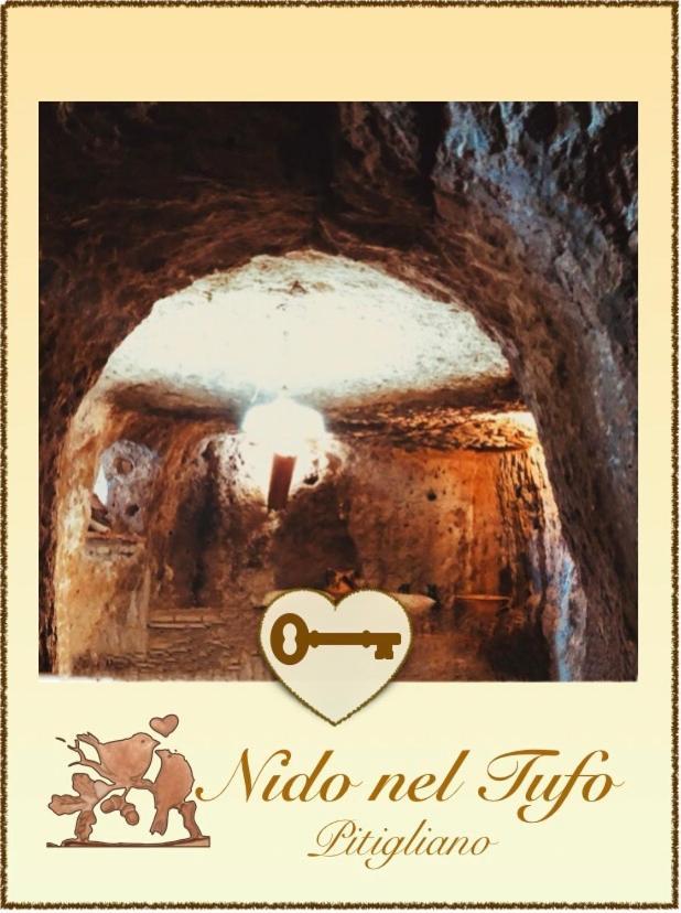 Nido Nel Tufo Apartment Питиляно Екстериор снимка